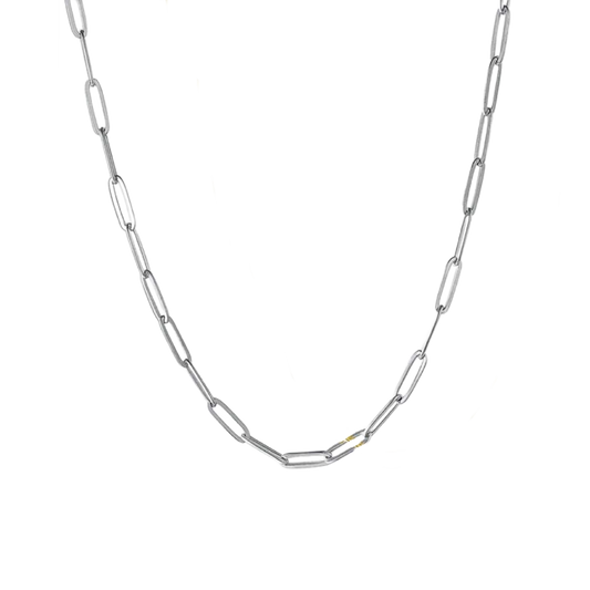 Nyla Paperclip Necklace